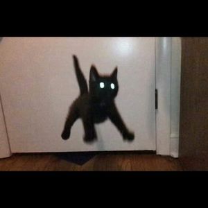 Meet your Posher, Nick